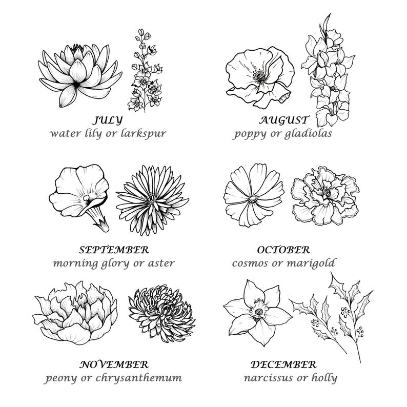 May include: Black and white botanical illustration featuring various flowers representing months of the year. Includes water lily, larkspur, poppy, gladiolas, morning glory, aster, cosmos, marigold, peony, chrysanthemum, narcissus, and holly.