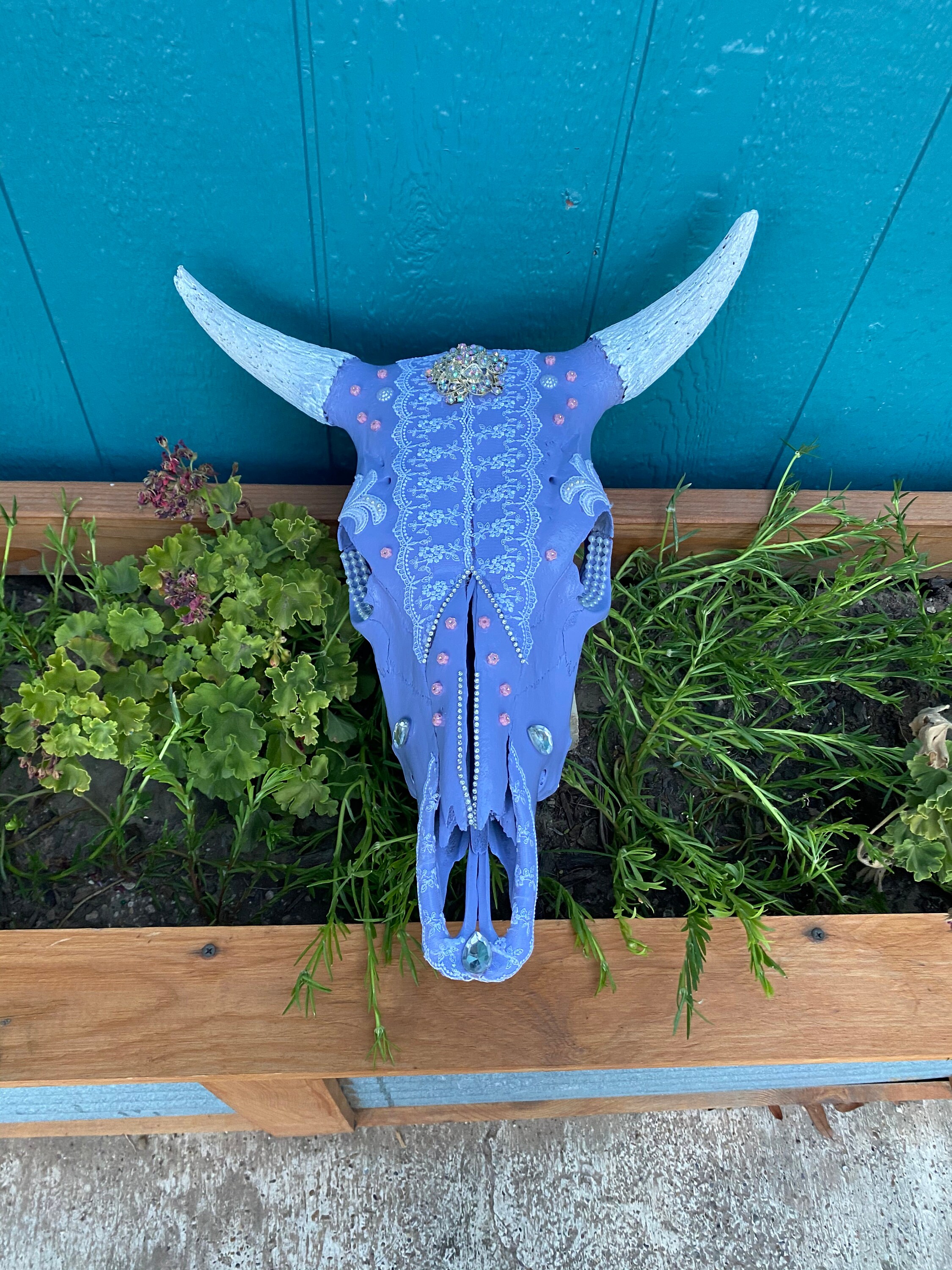 Head Hanging Art Cow Steer Skull Wall Décor / REAL Hand Etsy.de