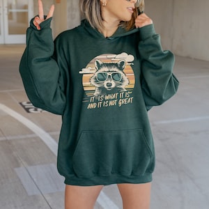 May include: Green hooded sweatshirt with a graphic of a raccoon wearing sunglasses in front of a sunset. The text "It is what it is and it is not great" is printed below the raccoon.