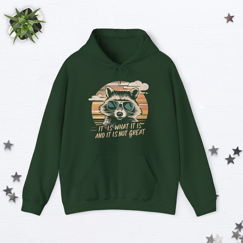 It Is What It Is Funny Raccoon Hoodie Racoon Gifts Raccoon Meme Hoodie Racoon Hoodie Animal Lover Gift Trash Panda Racoon Gifts Meme Gifts Forest Green