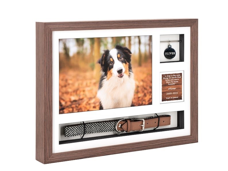 Pode incluir: Uma moldura de madeira marrom com um passe-partout branco e uma foto de um c&atilde;o preto e branco. A moldura tamb&eacute;m inclui uma pequena placa com o nome do c&atilde;o e as datas, uma etiqueta de identifica&ccedil;&atilde;o e uma coleira de c&atilde;o.
