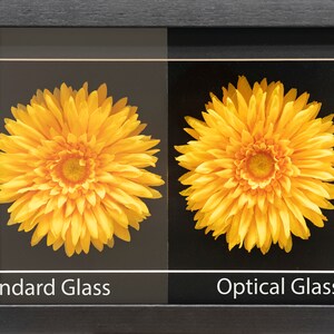 Pode incluir: Duas flores amarelas s&atilde;o exibidas em molduras pretas, uma atr&aacute;s de vidro padr&atilde;o e a outra atr&aacute;s de vidro &oacute;ptico. A diferen&ccedil;a de clareza &eacute; vis&iacute;vel.