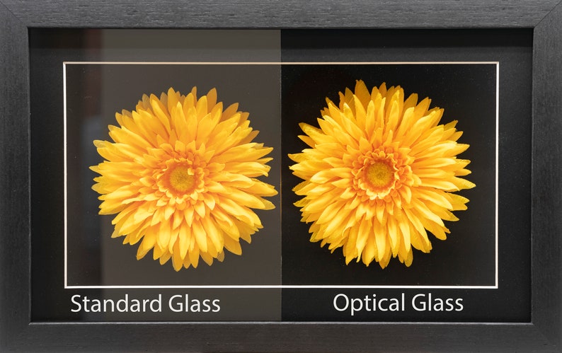 Pode incluir: Duas flores amarelas s&atilde;o exibidas em molduras pretas, uma atr&aacute;s de vidro padr&atilde;o e a outra atr&aacute;s de vidro &oacute;ptico. A diferen&ccedil;a de clareza &eacute; vis&iacute;vel.