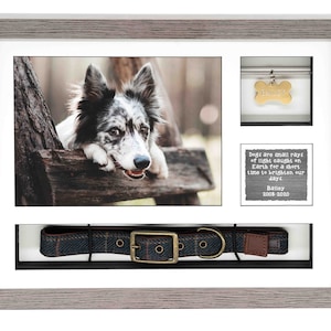 May include: A white picture frame with a black mat and a photo of a dog. The frame also includes a small compartment with a dog tag and a larger compartment with a dog collar. The frame has a quote about dogs and the dates 2008-2020.