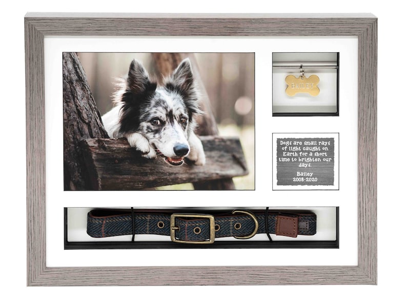 May include: A white picture frame with a black mat and a photo of a dog. The frame also includes a small compartment with a dog tag and a larger compartment with a dog collar. The frame has a quote about dogs and the dates 2008-2020.