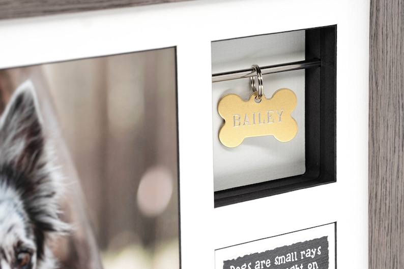 May include: A wooden picture frame with a black mat and a gold bone-shaped tag that says "BAILEY". The frame has a photo of a dog in it and a quote that says "Dogs are small rays of light on dark days".