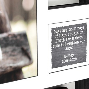May include: A black and white photo of a dog with a quote about dogs being small rays of light on Earth. The quote is written on a black chalkboard with white text. The text below the quote says "Bailey 2008-2020".