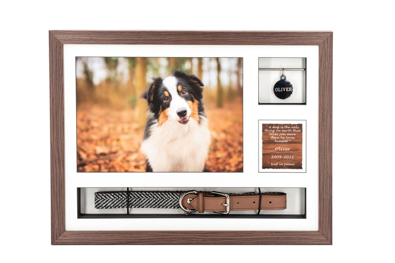 Pode incluir: Uma moldura de madeira castanho com um passe-partout branco cont&eacute;m uma foto de um c&atilde;o preto e branco, uma etiqueta de identifica&ccedil;&atilde;o para c&atilde;es com o nome "Oliver", uma pequena placa de madeira com uma citaat sobre c&atilde;es e uma coleira de c&atilde;o com padr&atilde;o preto e branco com uma fivela de couro castanho.