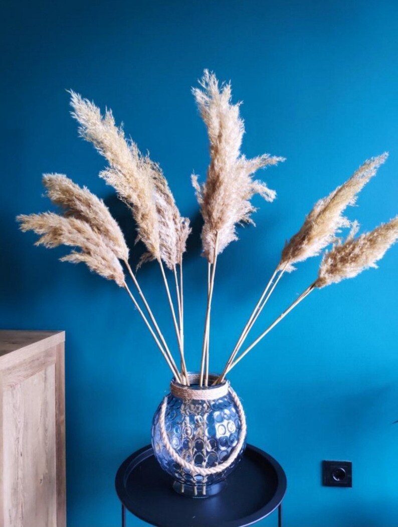 Pampas Grass Dried Pampas Grass Tall Pampas Grass Bouquet Etsy
