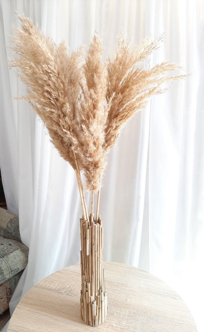 Pampas Grass Dried Pampas Grass Tall Pampas Grass Bouquet Etsy UK