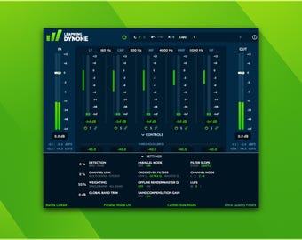Leapwing Audio DynOne | Preset Pack