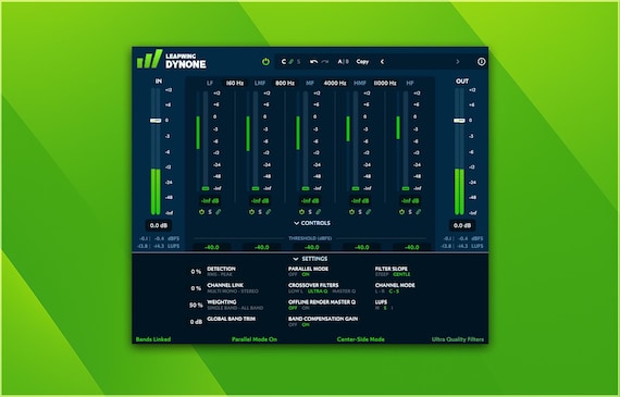 Leapwing Audio DynOne | Preset Pack