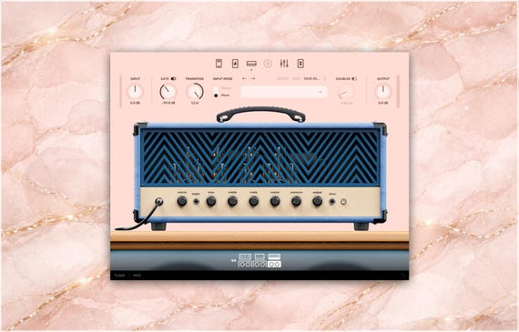 Neural DSP Archetype: Cory Wong X | Complete Preset Pack