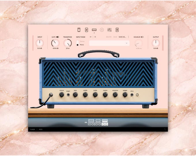 Neural DSP Archetype: Cory Wong X | Complete Preset Pack