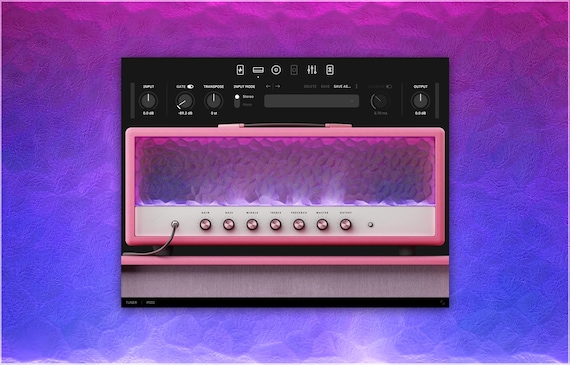 Neural DSP Archetype: Tim Henson X | Complete Preset Pack