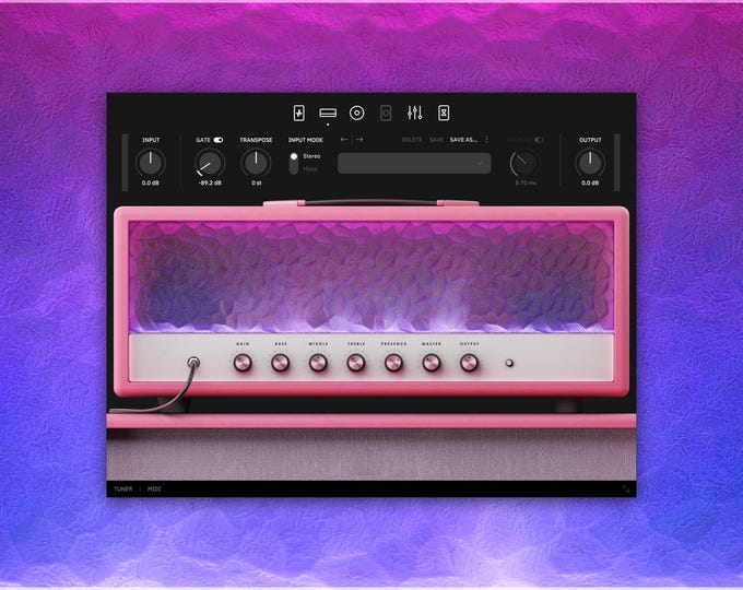 Neural DSP Archetype: Tim Henson X | Complete Preset Pack