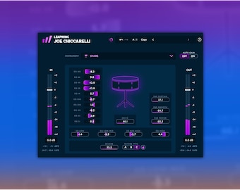 Leapwing Audio Joe Chiccarelli | Preset Pack