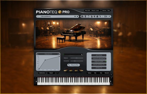 Modartt Pianoteq 9 Pro | Piano Preset Pack