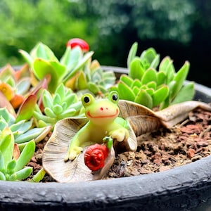 Rana de hoja en miniatura con figura de caracol diminuto, terrario, maceta para suculentas, accesorios para jardín de hadas