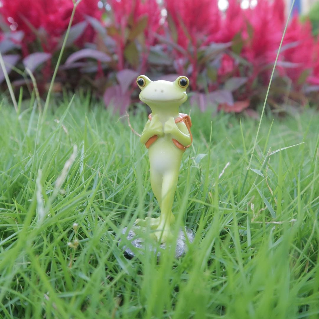 Rane Fatate Per Il Giardino: Statuine In Resina Simpatiche E Originali - Set Collezionabili Con Fatine, Per Decorare Casa E Balcone