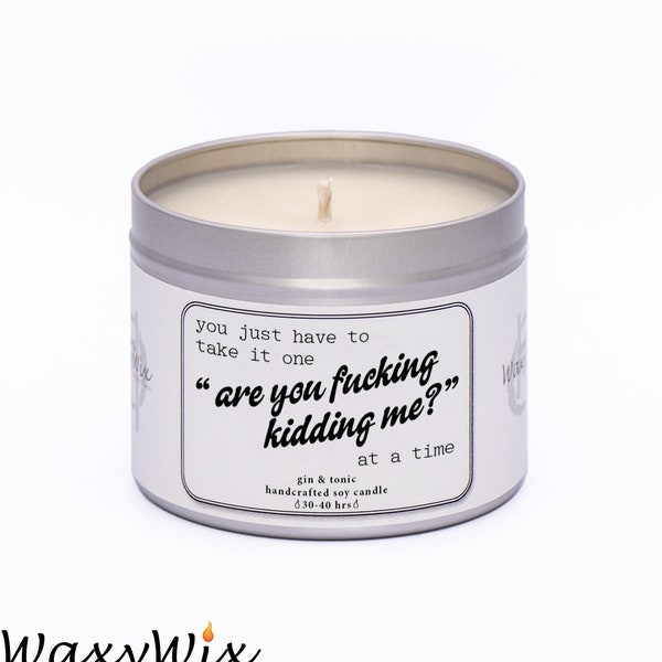 You just have to take it one "are you fucking kidding me?" at a time. Funny and rude candle gift for friend.  Handmade soy wax candle.