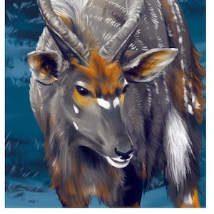 Nyala Print - 8.5 x 11