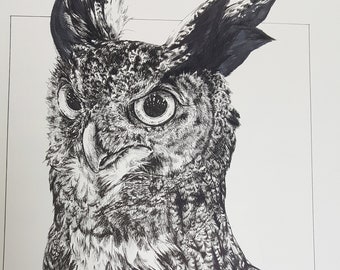 Great Horned Owl - Black and White - 11 x 14 in - Ink - Bird Art Print