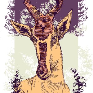 Hartebeest - African Antelope Digital Art Print