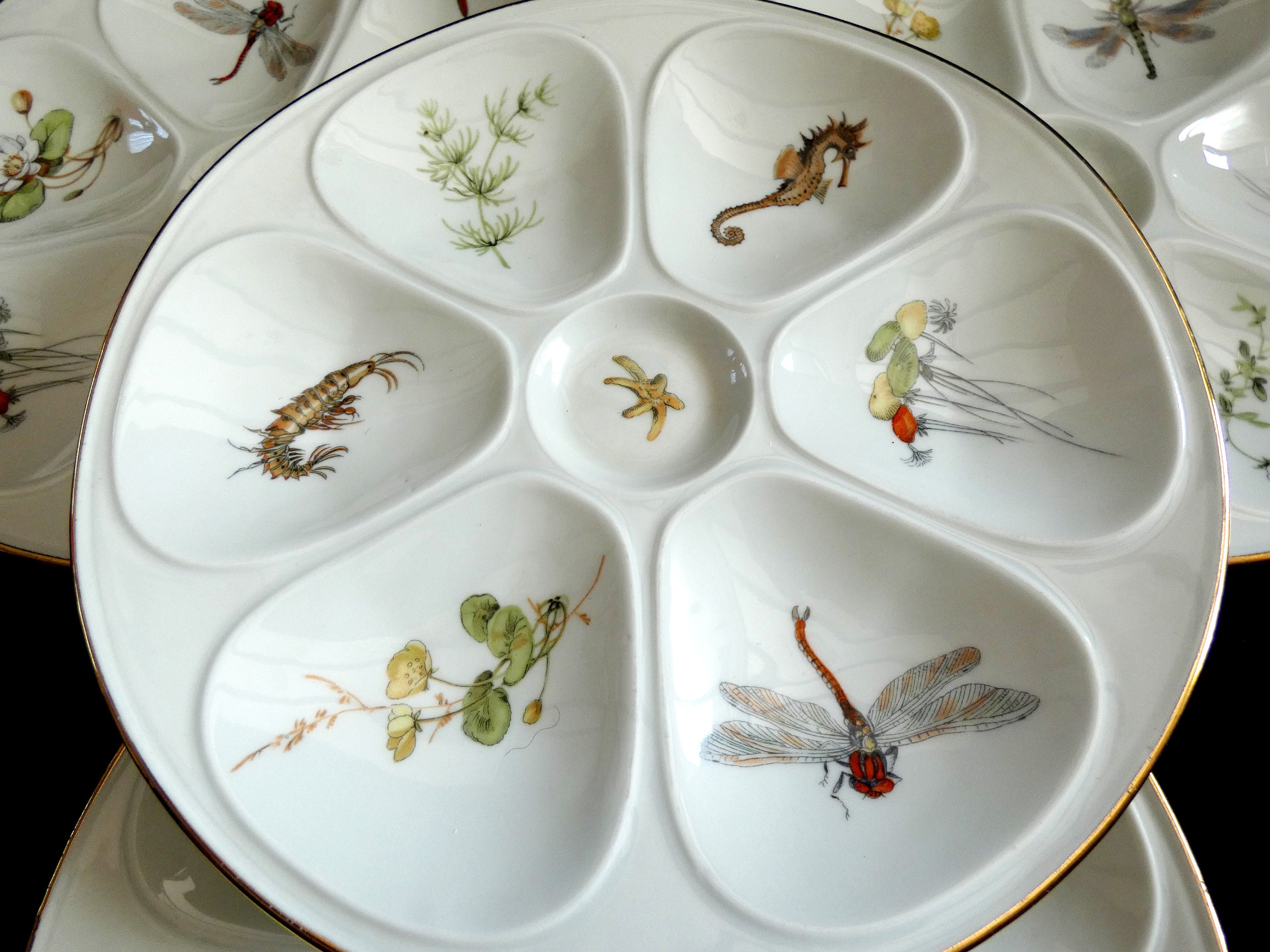 Lourioux Foecy Oyster Plates, Vintage French Oyster Plates, Rare White