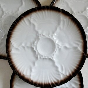Bareuther Bavaria Oyster Plates, Vintage German Oyster Platter, Bavaria Porcelain Oyster Plate, Rare White Oyster Serving Plate, Germany 60