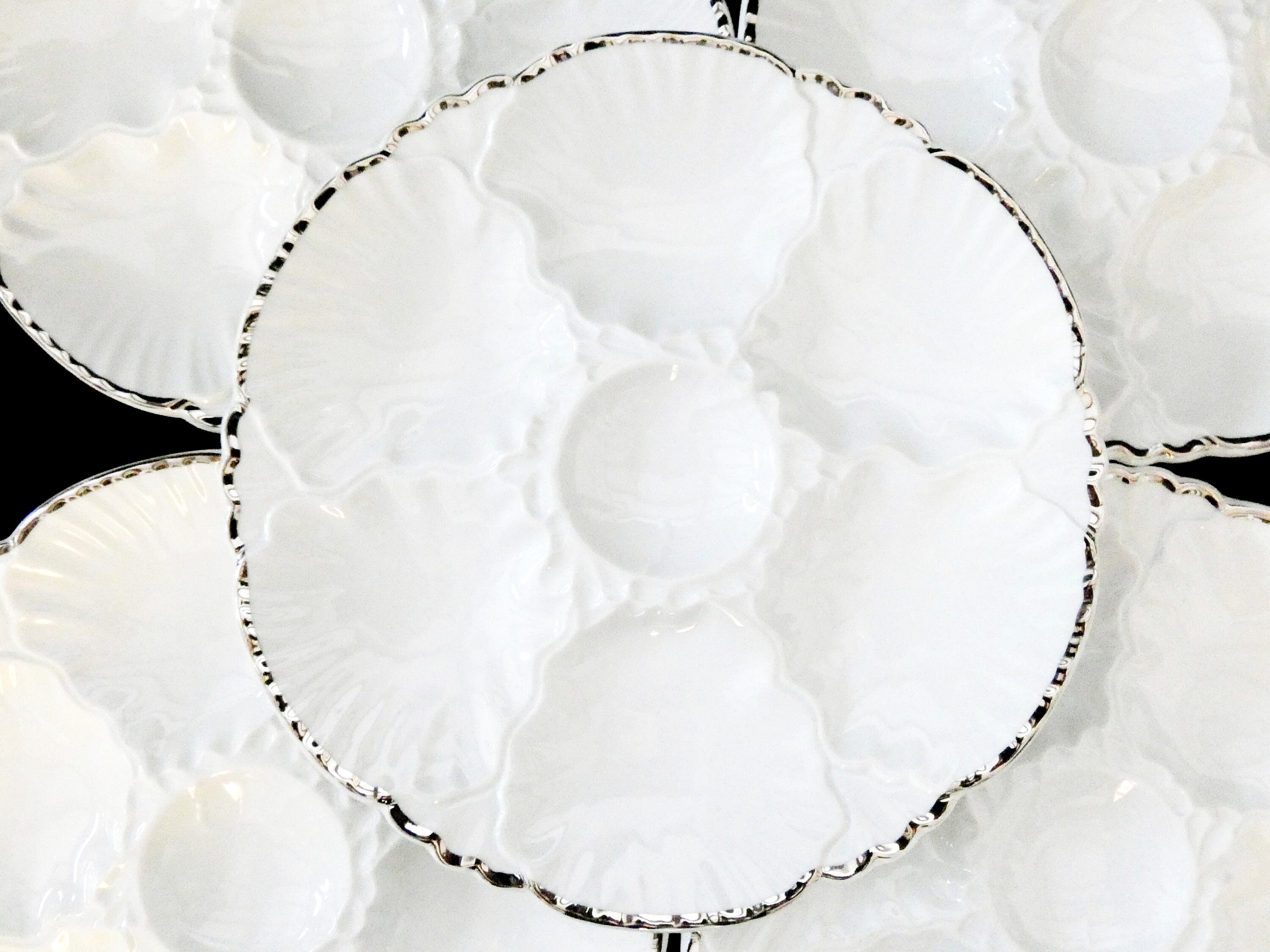6 Oyster Plate Collection Antique Oyster Plate Porcelaine Baudour