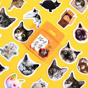 Cat Stickers, 45 pieces, Planner stickers, Journal stickers, Diary Stickers