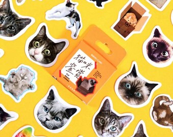 Cat Stickers, 45 pieces, Planner stickers, Journal stickers, Diary Stickers