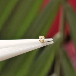 May include: A small, gold-coloured stud earring with a clear, round gemstone held by white tweezers. The background is a blurred mix of green and red, suggesting a natural setting. The earring is a delicate piece of jewellery.