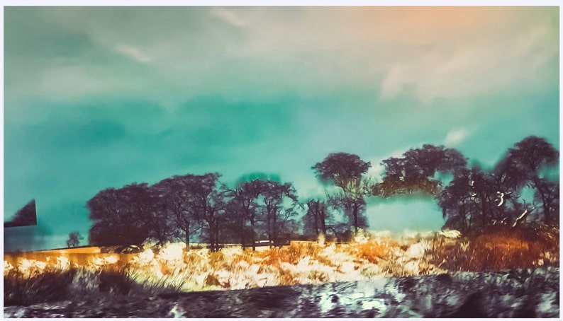 Cheap On Sale Gap In The Trees Fine Art Prints Photography Wall Art Decor Limited Photo Art Abstract Clearance Cheap In Stock Www Win App4 Hu