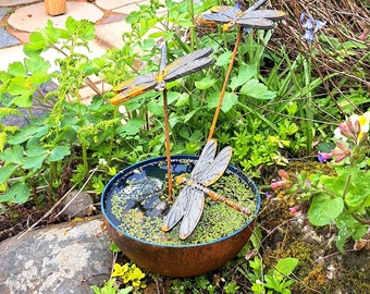 Mini Wildlife Pond, Garden Water Dish with Dragonflies.