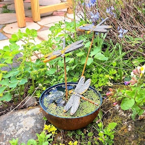 May include: A garden pond ornament featuring three metal dragonfly sculptures. The pond is a dark blue bowl filled with water and greenery. The dragonflies have grey wings and yellow accents.