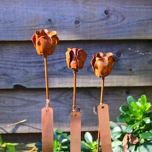 May include: Three metal tulip garden stakes with a weathered, rusty appearance. The tulip heads are orange-brown, and the stems are thin and brown. Each stake has a copper-coloured rectangular tag. The background features a wooden fence and green foliage.