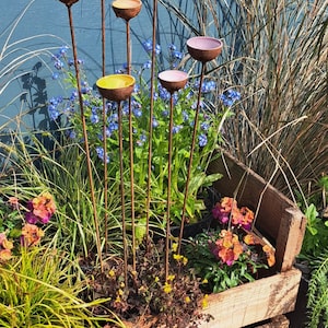 Estación de agua para abejas y mariposas. Juego de tres tazas Decoración de esculturas de jardín. El conjunto de alhelí imagen 4