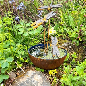 Mini Pond, Garden Water Dish, Water Feature
