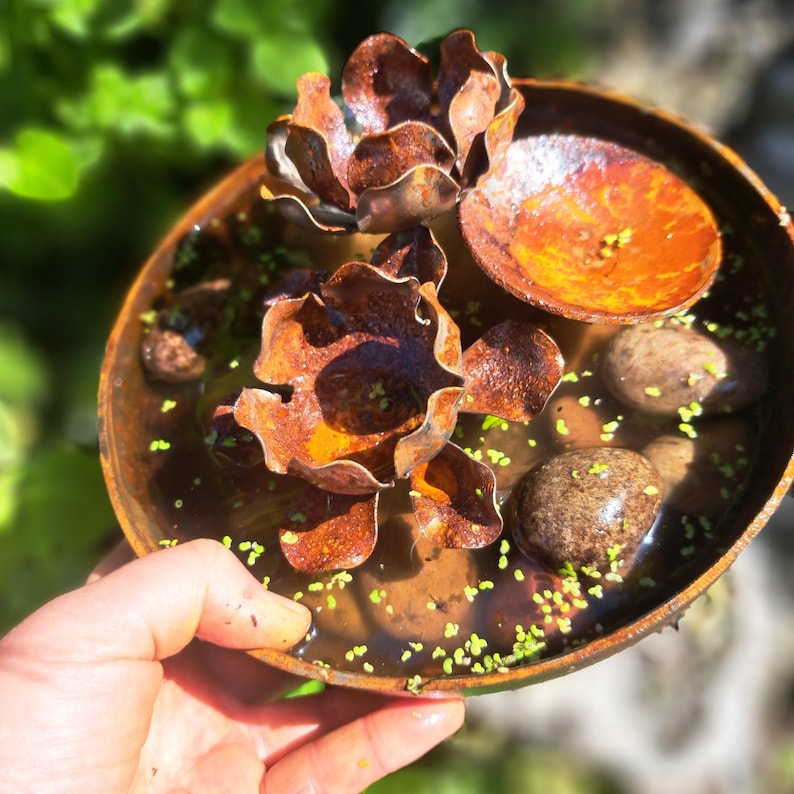 May include: A rustic, metal bowl with water, featuring two large, brown, flower-shaped sculptures and several small, round stones. The bowl has a weathered, orange-brown finish, and the water contains small green plants. The image is taken outdoors.