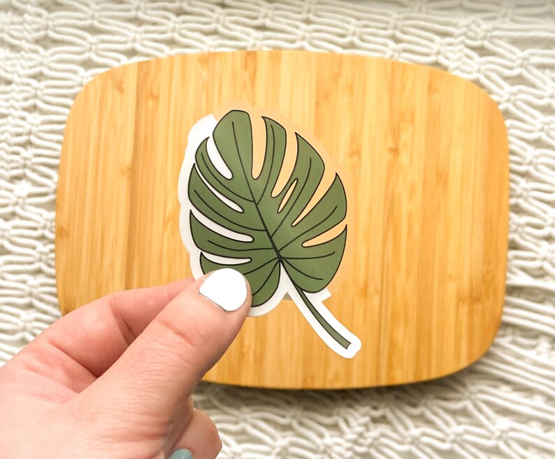 Monstera Leaf Clear Vinyl Sticker image 2