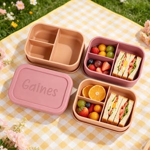 Op de afbeelding: Roze en perzik kleurige rechthoekige lunchboxen met compartimenten, waarvan één met de naam "Gaines" in reliëf op het deksel. Twee lunchboxen zijn gevuld met sandwiches, fruit en druiven. De dozen staan op een geel geruite picknickdeken.