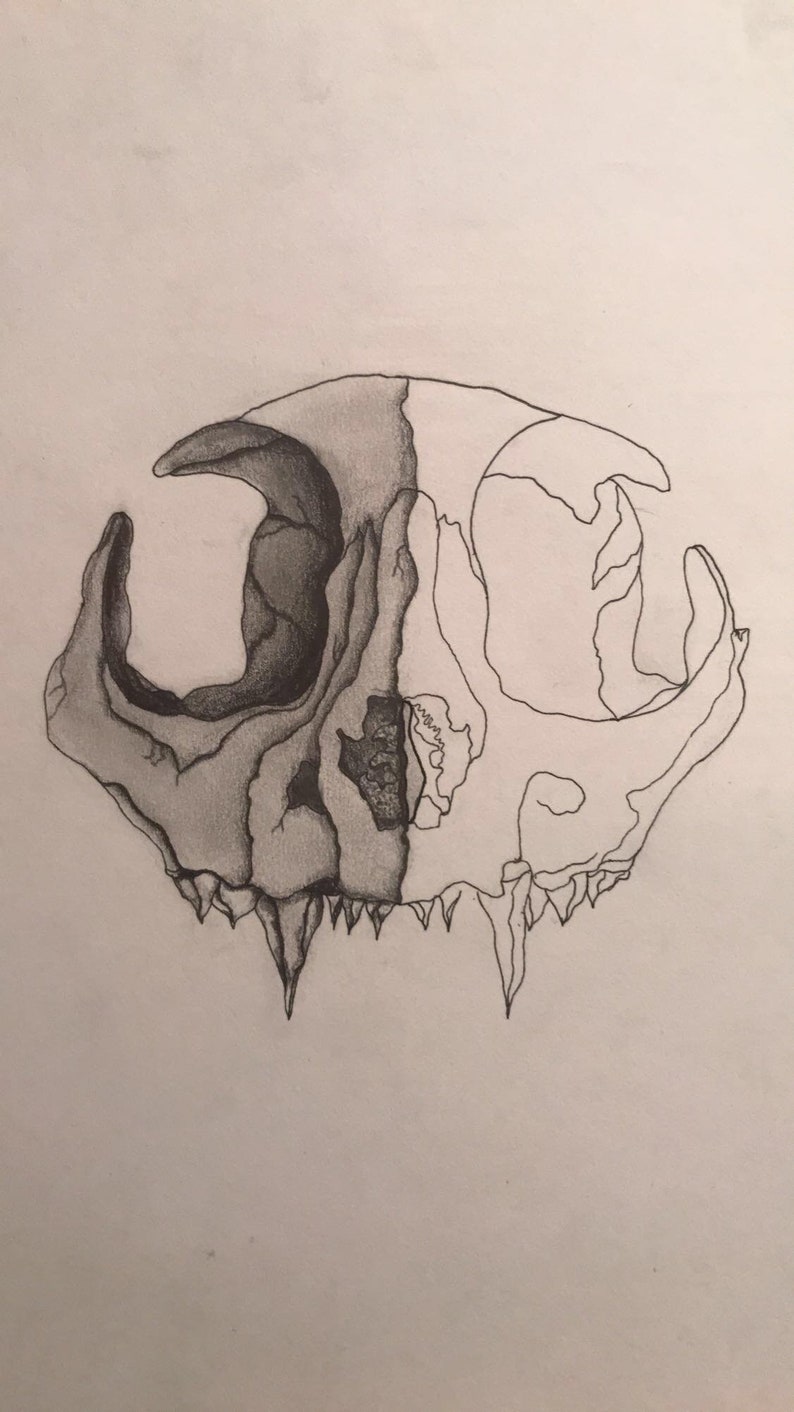 Cat Skull | Etsy