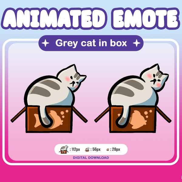 Emote: Grey cat in box for Discord, Twitch Streaming GIF