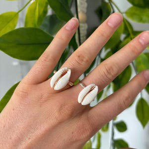 May include: Two rings with white cowrie shells and gold-colored wire settings are displayed on a hand. The shells have a natural, textured appearance with a brown interior. The rings are a unique, beach-inspired accessory.