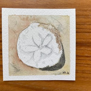 May include: Watercolor painting of a sand dollar on a square piece of paper. The sand dollar is white with a star-like pattern in the center. The background is a light brown color. The artist's initials, HLR, are in the bottom right corner.