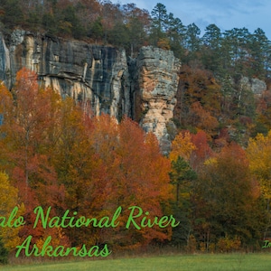 Buffalo National River Postcard Steel Creek Ozarks Post Card ImageryByDenaC