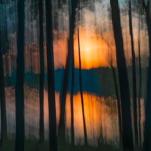 Elysian Impressionistic ICM Photo Original Tree Ozarks Photograph Ethereal Photo Arkansas Metal Print 20x30inches