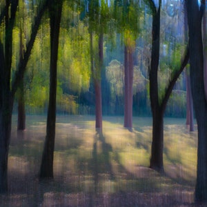Morning Stroll Impressionistic ICM Photo Original Tree Ozarks Photograph Photo Arkansas Canvas Print 20x30inches